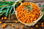 Buy 3 Siberian Pine Nut Oil enriched with Sea Buckthorn and Get 1 FREE! - Image 6